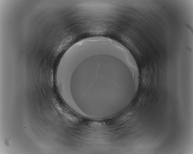 X0000100760494200807171345