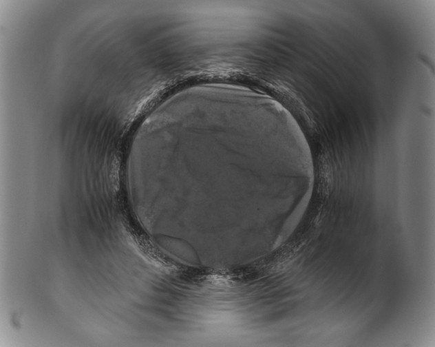 X0000100760496200807171345