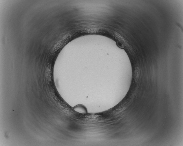 X0000100760497200807171345