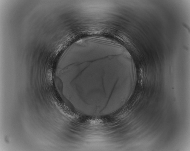X0000100760500200807171345