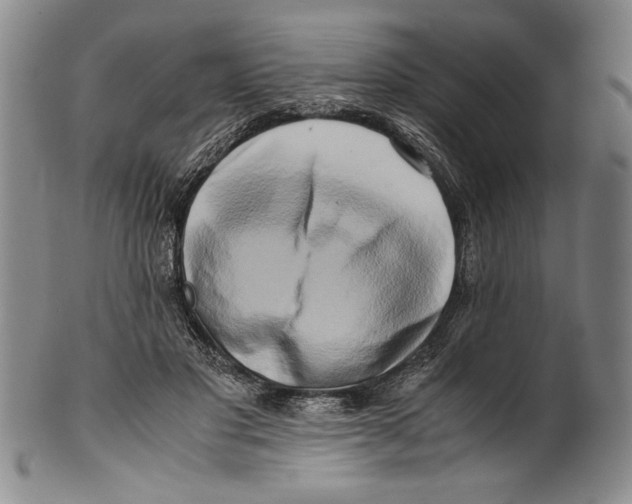 X0000100760501200807171345