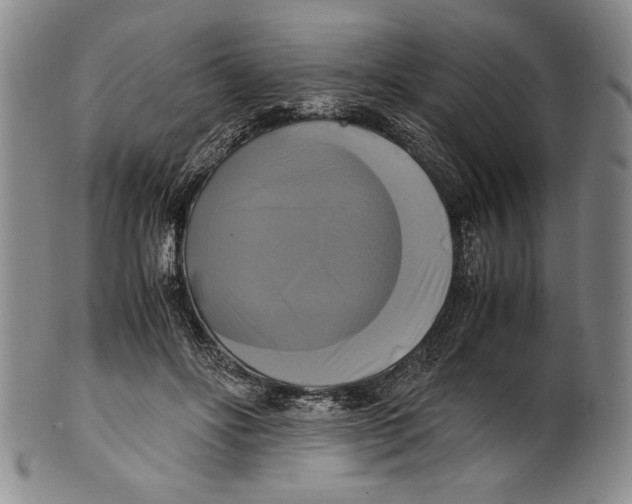X0000100760502200807171345