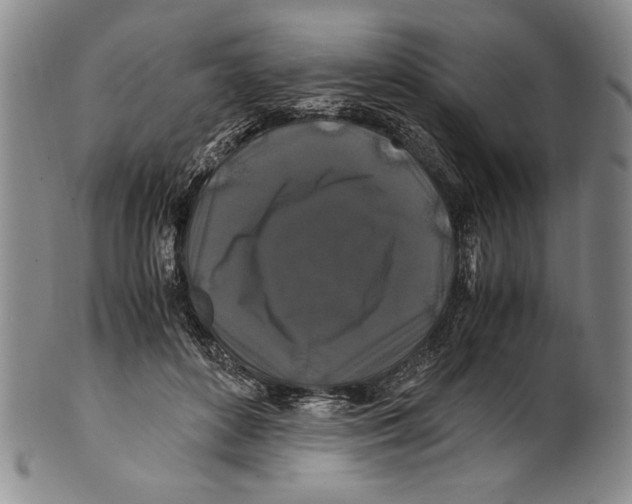 X0000100760504200807171345