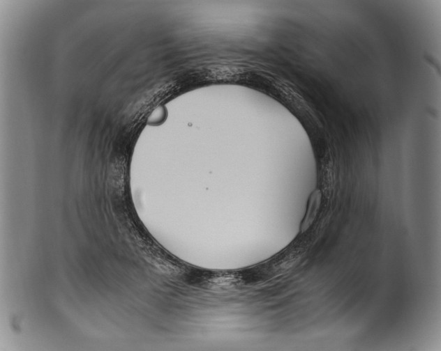X0000100760505200807171345