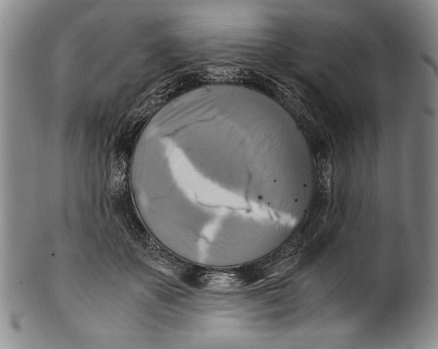 X0000100760507200807171345
