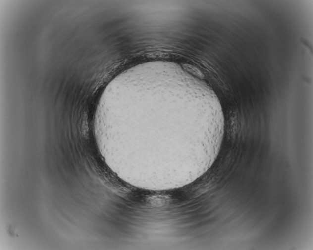 X0000100760508200807171345