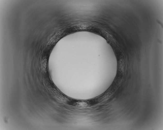 X0000100760509200807171345
