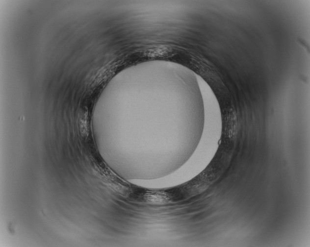 X0000100760510200807171345