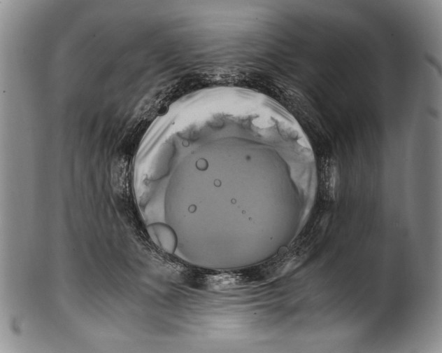 X0000100760511200807171345
