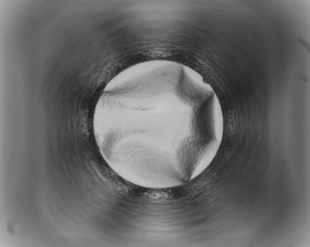 X0000100760512200807171345
