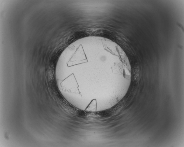 X0000100760515200807171345