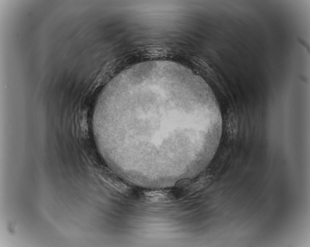 X0000100760516200807171345