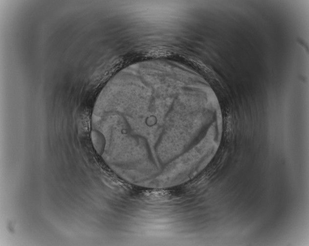 X0000100760517200807171345