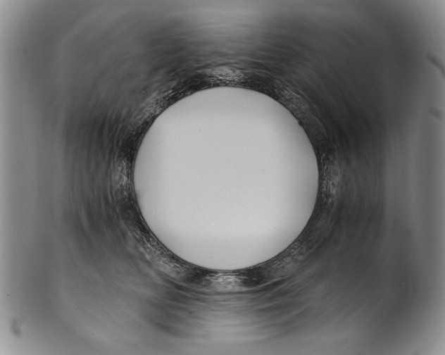 X0000100760518200807171345