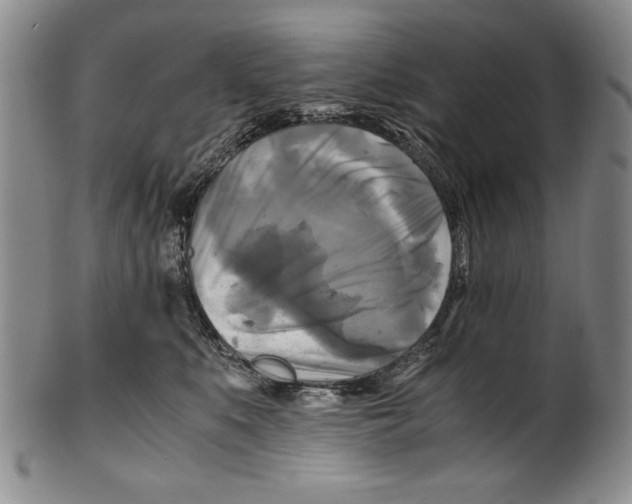 X0000100760519200807171345