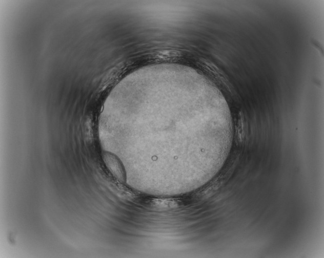 X0000100760520200807171345
