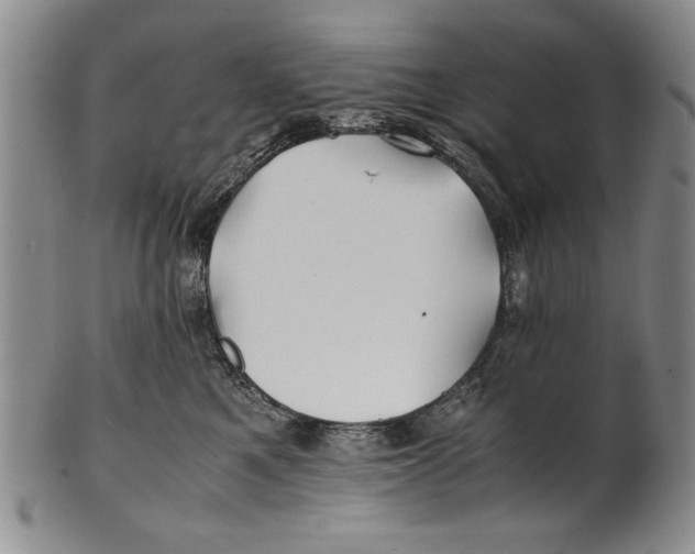 X0000100760521200807171345