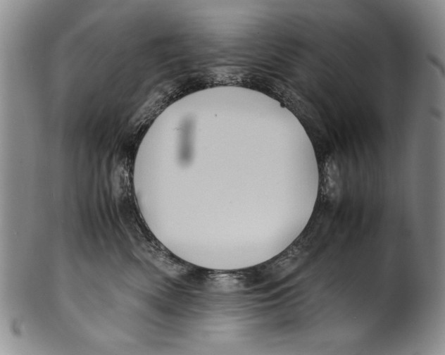 X0000100760522200807171345