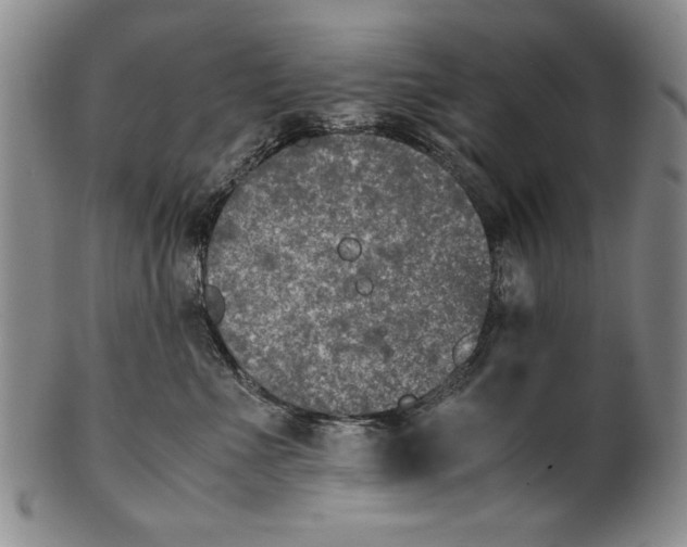 X0000100760523200807171345