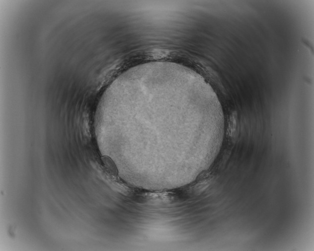 X0000100760524200807171345