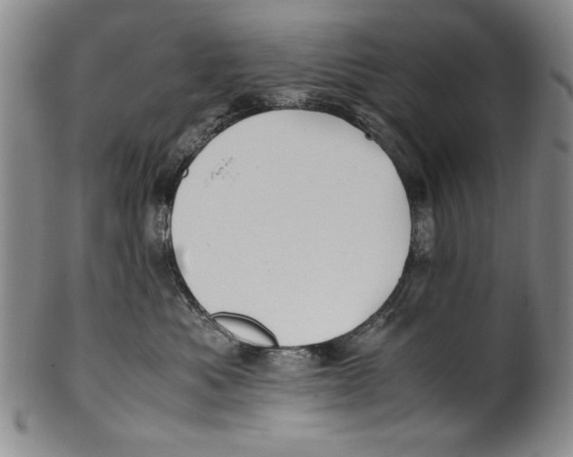 X0000100760525200807171345