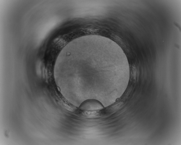 X0000100760526200807171345