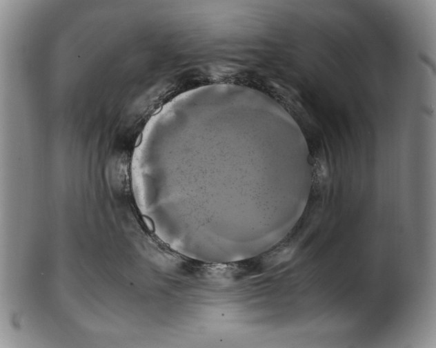 X0000100760527200807171345