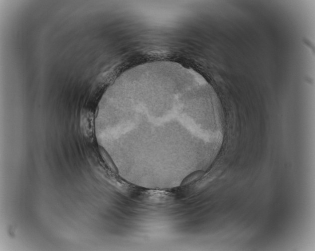 X0000100760528200807171345