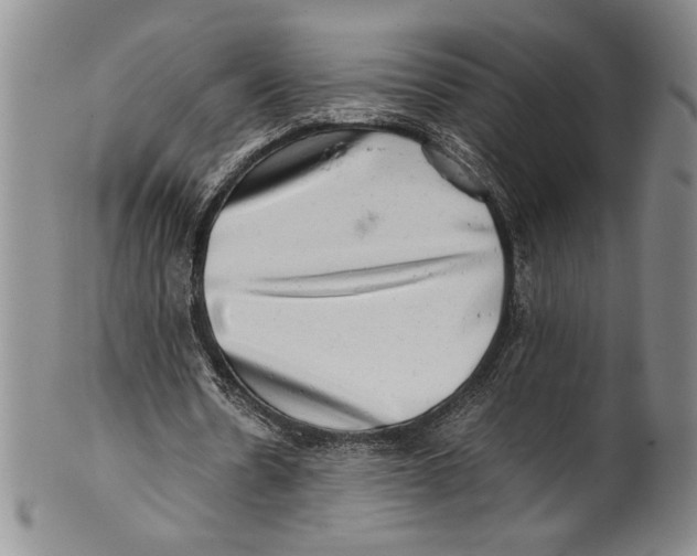 X0000100760530200807171344