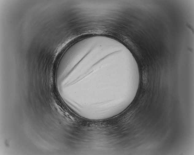 X0000100760532200807171344