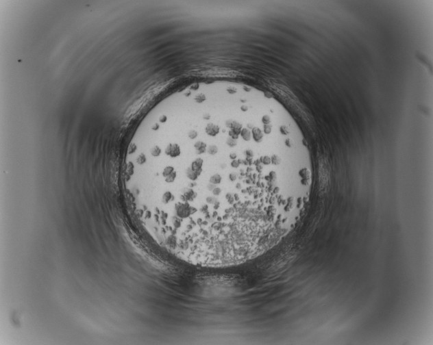 X0000100760533200807171344