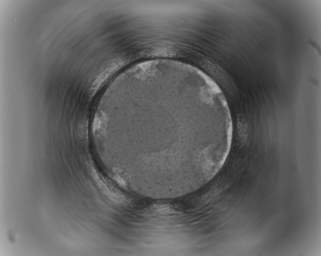 X0000100760534200807171344