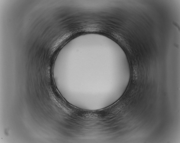 X0000100760535200807171344