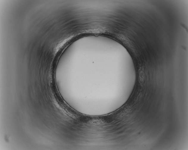 X0000100760536200807171344