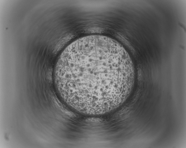 X0000100760537200807171344