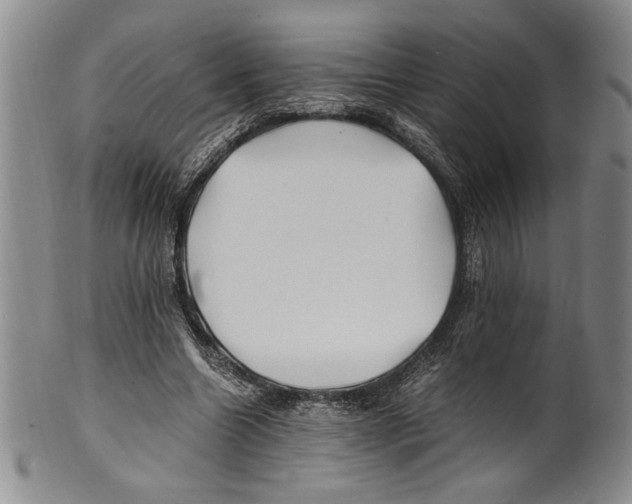 X0000100760538200807171344