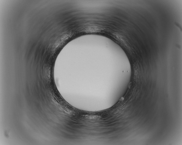 X0000100760539200807171344