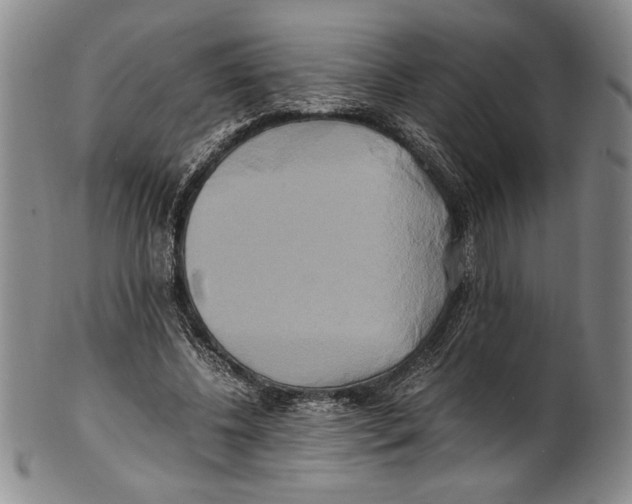 X0000100760540200807171344