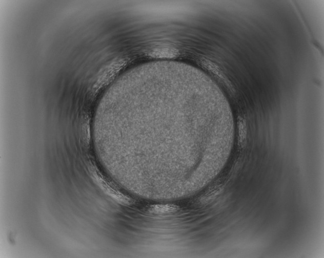 X0000100760541200807171344