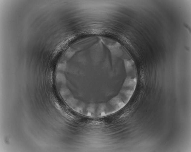 X0000100760542200807171344