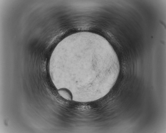 X0000100760543200807171344