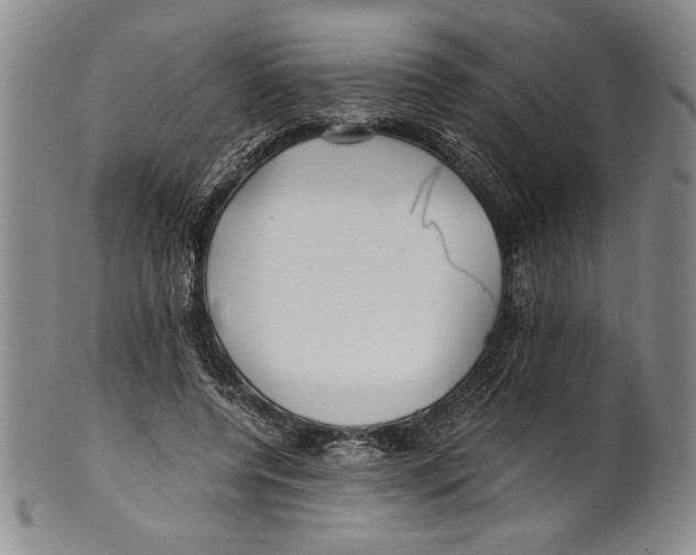 X0000100760544200807171344