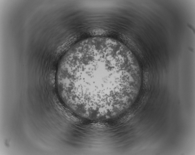 X0000100760545200807171344