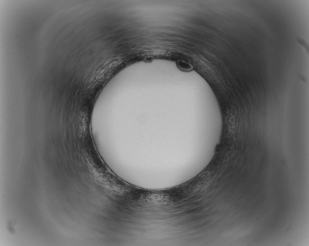X0000100760546200807171344