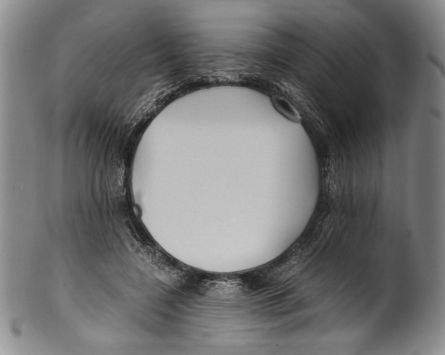 X0000100760548200807171344