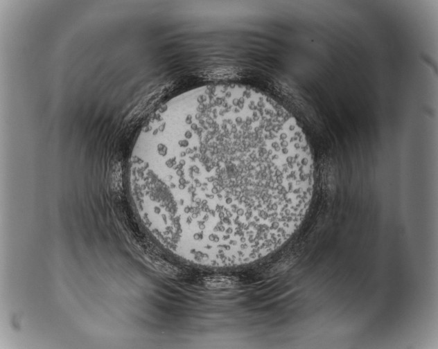 X0000100760549200807171344