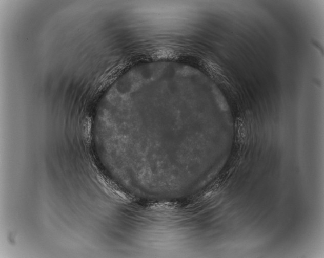 X0000100760550200807171344