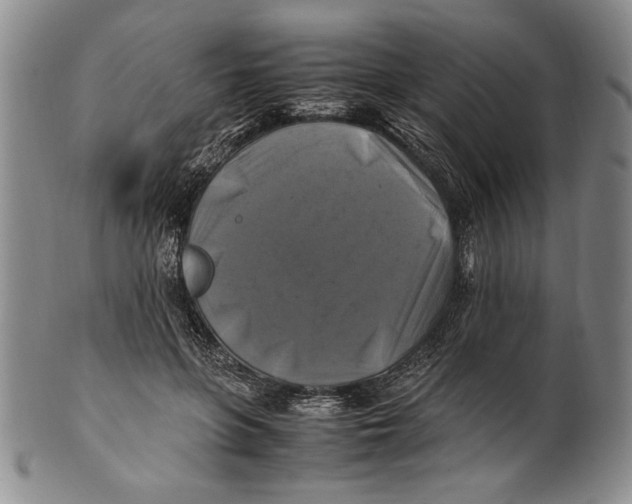 X0000100760551200807171344