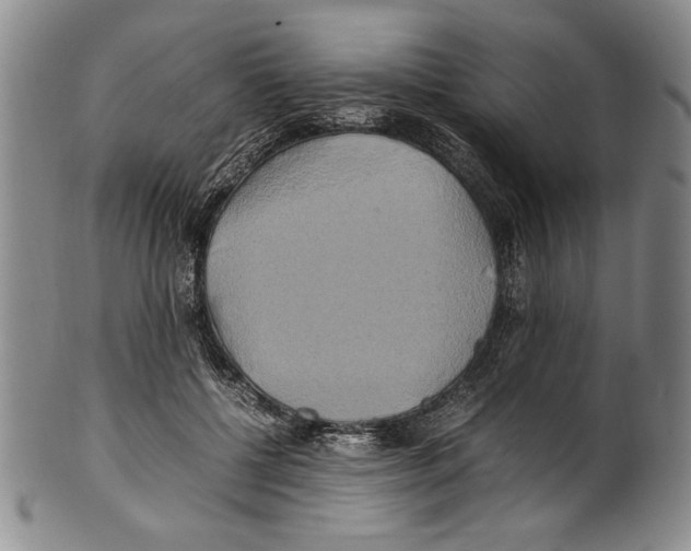 X0000100760552200807171344