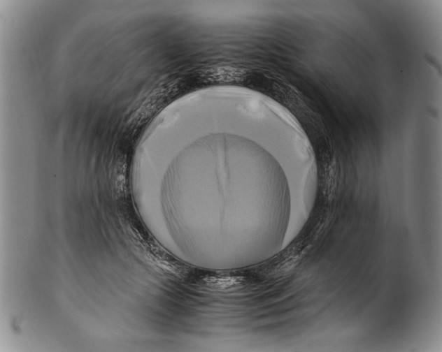 X0000100760553200807171344